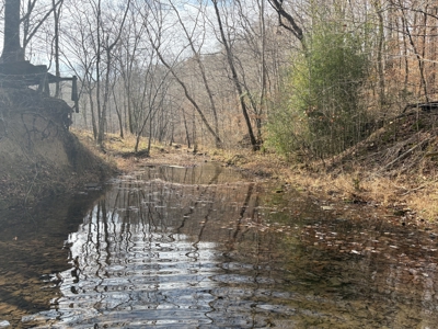 Country Home for Sale in Wayne County, Tennessee - image 29