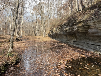 Country Home for Sale in Wayne County, Tennessee - image 30