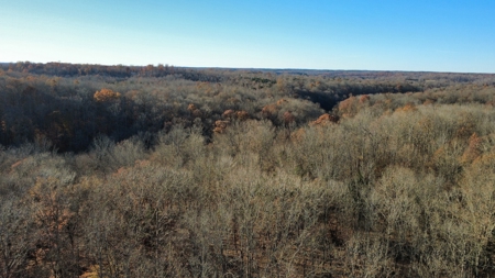 Country Home for Sale in Wayne County, Tennessee - image 21