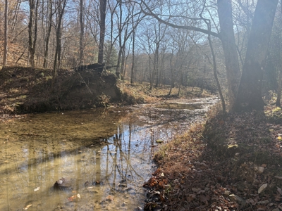 Country Home for Sale in Wayne County, Tennessee - image 36