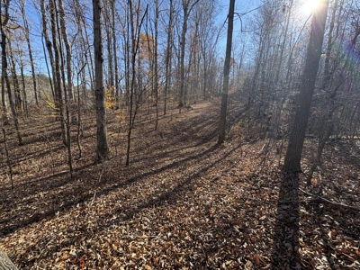 Country Home for Sale in Wayne County, Tennessee - image 34