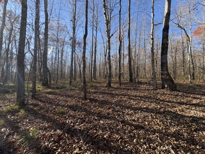 Country Home for Sale in Wayne County, Tennessee - image 48