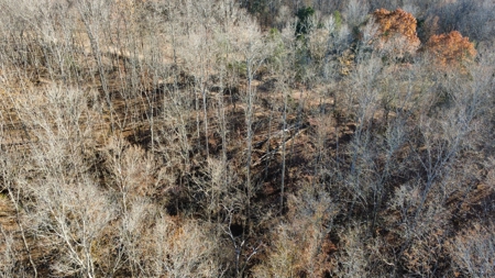 Country Home for Sale in Wayne County, Tennessee - image 19