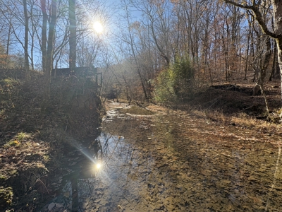 Country Home for Sale in Wayne County, Tennessee - image 28