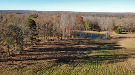 Country Home for Sale in Wayne County, Tennessee - image 8