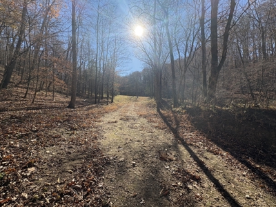 Country Home for Sale in Wayne County, Tennessee - image 27