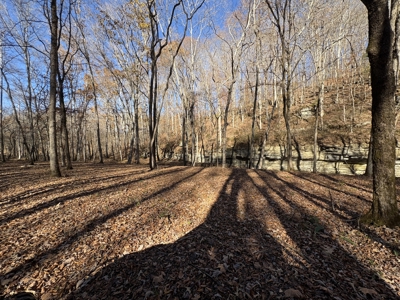 Country Home for Sale in Wayne County, Tennessee - image 30