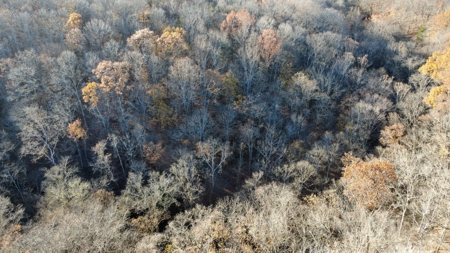 Country Home for Sale in Wayne County, Tennessee - image 24