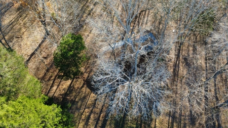 Country Home for Sale in Wayne County, Tennessee - image 17