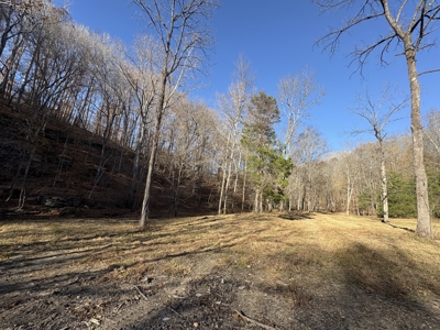 Country Home for Sale in Wayne County, Tennessee - image 40