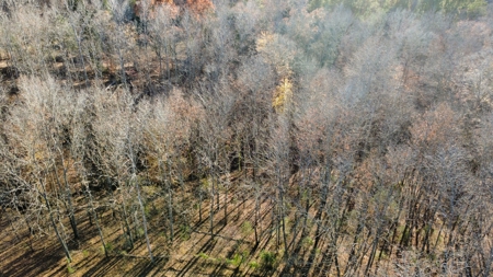 Country Home for Sale in Wayne County, Tennessee - image 18