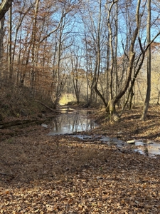 Country Home for Sale in Wayne County, Tennessee - image 31