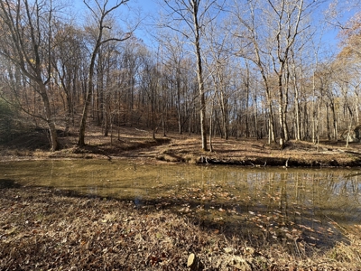 Country Home for Sale in Wayne County, Tennessee - image 26