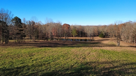 Country Home for Sale in Wayne County, Tennessee - image 14