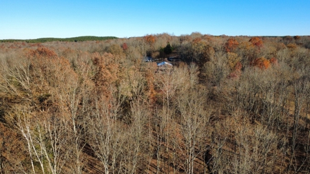 Country Home for Sale in Wayne County, Tennessee - image 20