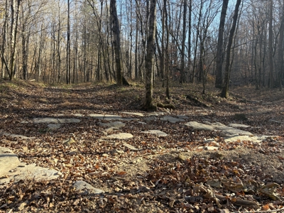 Country Home for Sale in Wayne County, Tennessee - image 46