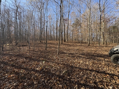 Country Home for Sale in Wayne County, Tennessee - image 35