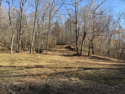 Country Home for Sale in Wayne County, Tennessee - image 37