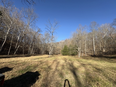 Country Home for Sale in Wayne County, Tennessee - image 41