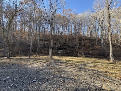 Country Home for Sale in Wayne County, Tennessee - image 39