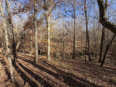 Country Home for Sale in Wayne County, Tennessee - image 49