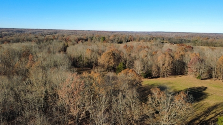 Country Home for Sale in Wayne County, Tennessee - image 22