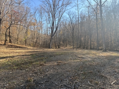 Country Home for Sale in Wayne County, Tennessee - image 38