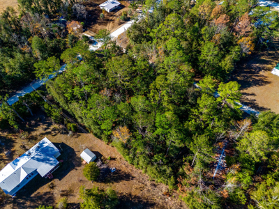 Residential Lot For Sale in Live Oak, Florida! - image 4