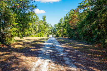 Residential Lot For Sale in Live Oak, Florida! - image 10