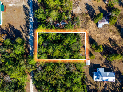 Residential Lot For Sale in Live Oak, Florida! - image 12