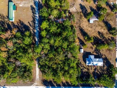 Residential Lot For Sale in Live Oak, Florida! - image 8