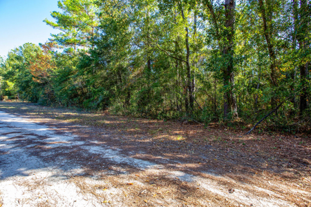 Residential Lot For Sale in Live Oak, Florida! - image 13