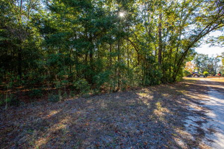 Residential Lot For Sale in Live Oak, Florida! - image 11
