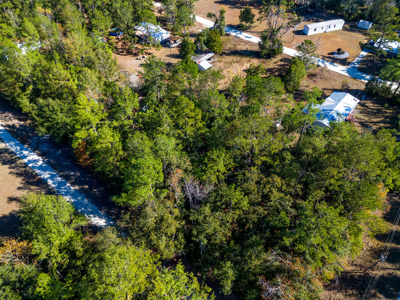 Residential Lot For Sale in Live Oak, Florida! - image 6