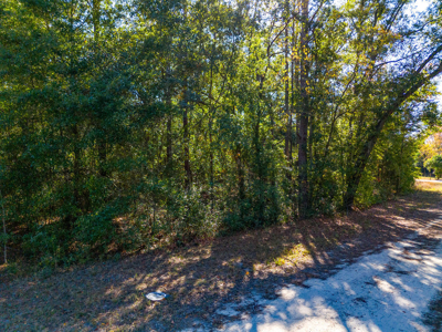 Residential Lot For Sale in Live Oak, Florida! - image 2