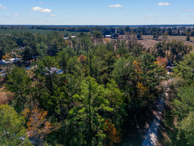 Residential Lot For Sale in Live Oak, Florida! - image 7