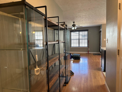 Great Starter Home For First Time Buyers! - image 26