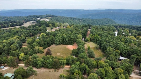 Newton County Farm House/Land For Sale Near Ozark National Forest - image 30
