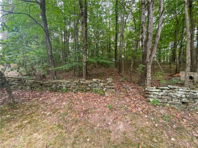 Newton County Farm House/Land For Sale Near Ozark National Forest - image 19