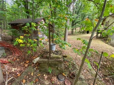 Newton County Farm House/Land For Sale Near Ozark National Forest - image 21