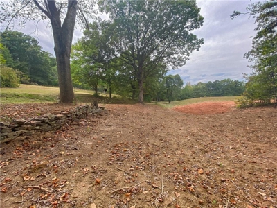 Newton County Farm House/Land For Sale Near Ozark National Forest - image 24