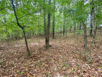 Newton County Farm House/Land For Sale Near Ozark National Forest - image 23