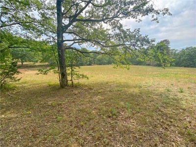 Newton County Farm House/Land For Sale Near Ozark National Forest - image 27