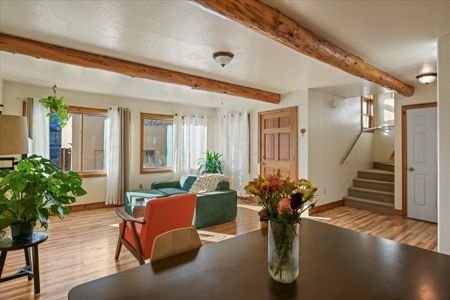 Duplex Opportunity for Sale in Ridgway, Colorado - image 5