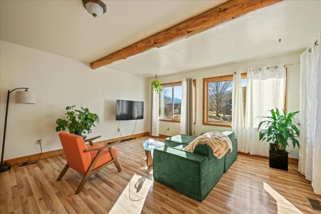 Duplex Opportunity for Sale in Ridgway, Colorado - image 3