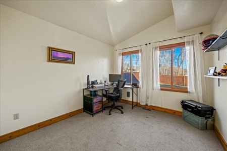 Duplex Opportunity for Sale in Ridgway, Colorado - image 14