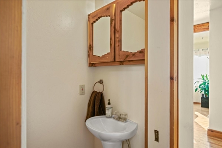 Duplex Opportunity for Sale in Ridgway, Colorado - image 16