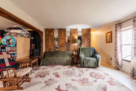 Creekfront Property for sale in the Arkansas Ozarks - image 15