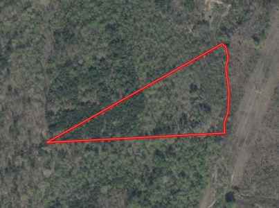 Your Private Hunting Paradise: Five Wooded Acres in Halifax, VA - image 6