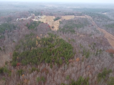 Your Private Hunting Paradise: Five Wooded Acres in Halifax, VA - image 3